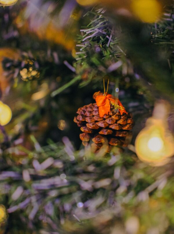 Festive & Seasonal Shoots